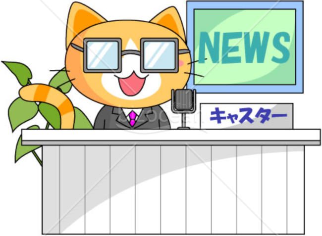 猫～ニュース
