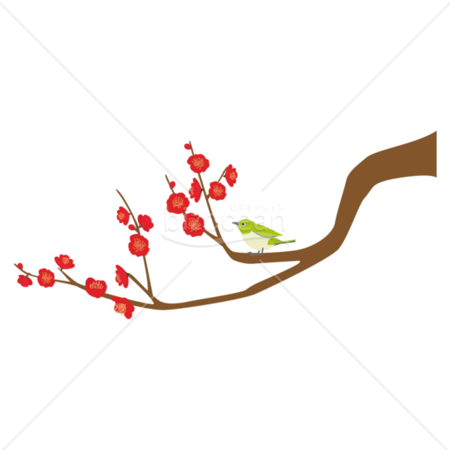 梅と鶯のイラスト2