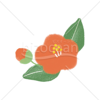 【2026年】「イラスト」色鉛筆画風の温かい椿の花