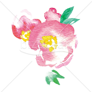 「イラスト」ピンクの花
