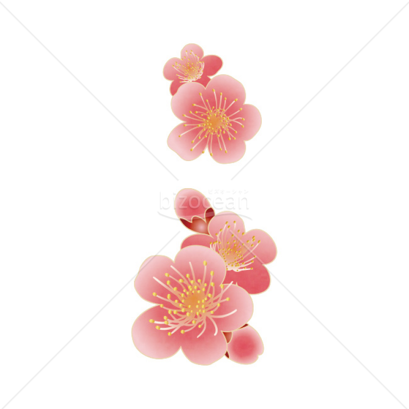 「イラスト」ピンク色の花2