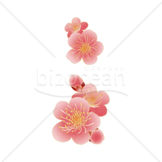 「イラスト」ピンク色の花2