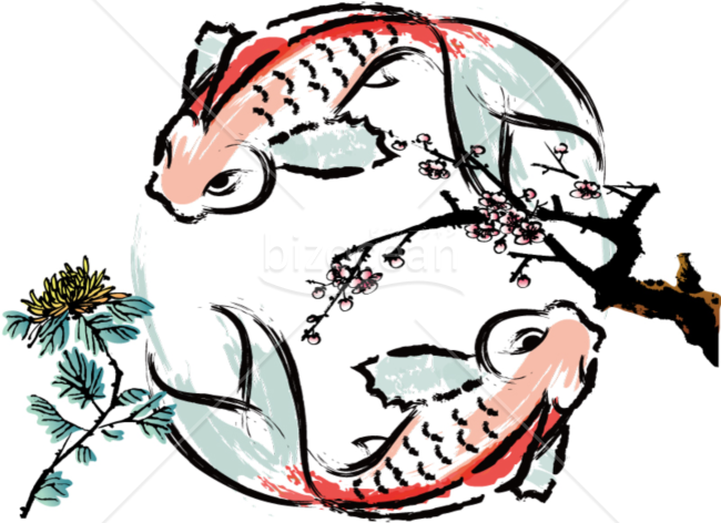 2匹の鯉のイラスト
