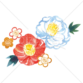 【2026年】「イラスト」水彩タッチで描いた椿と梅の花