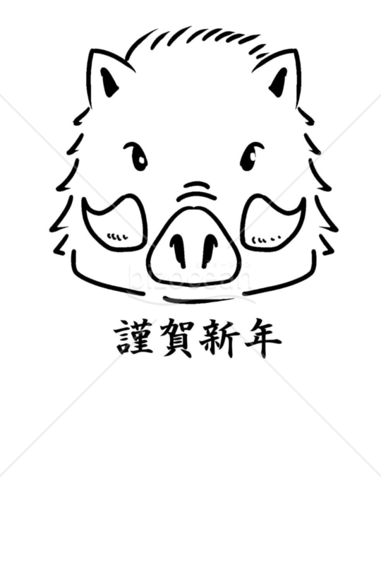 亥年の年賀状２０１9（NO.1017）