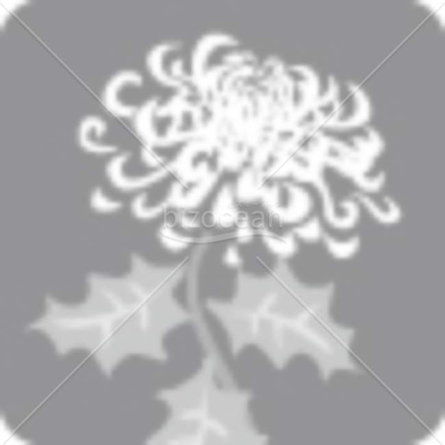 菊の喪中イラスト（モノクロ）