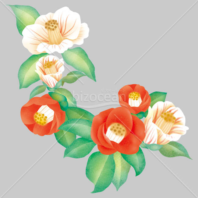 【2026年】「イラスト」柔らかな質感で描かれた紅白椿