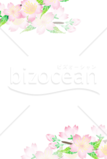 背景透過　桜のシンプルなフレーム