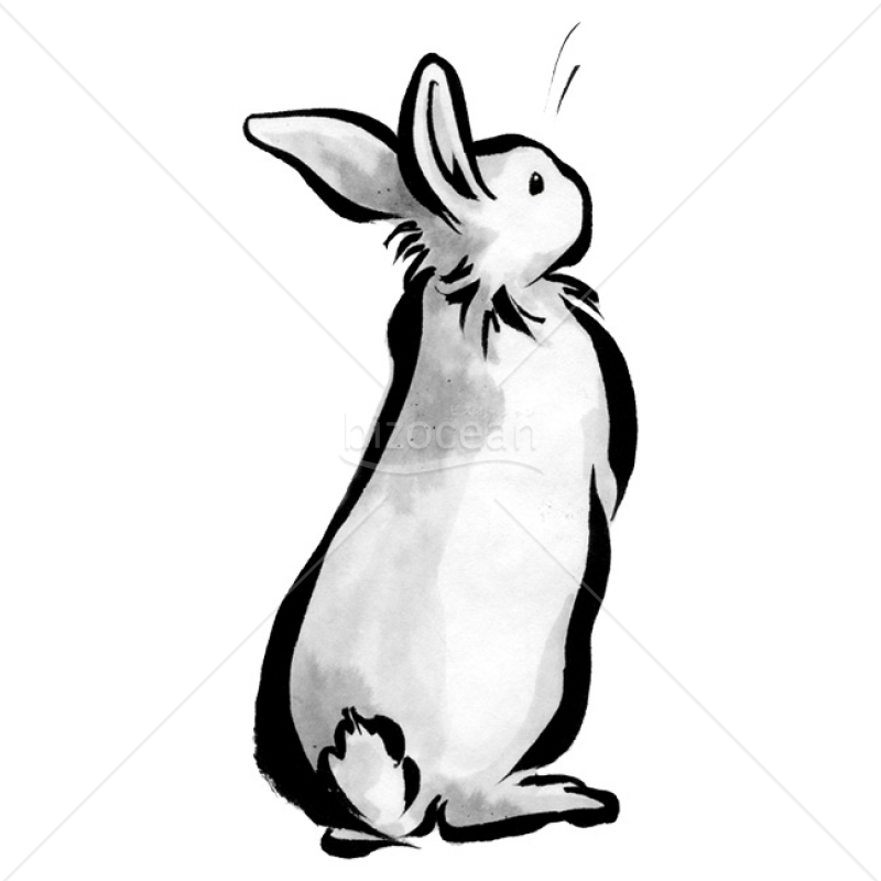 「イラスト」ウサギ22