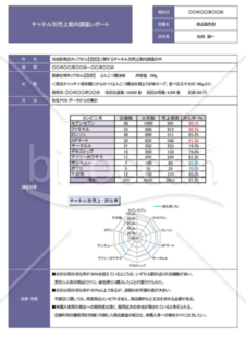 Wordで作るA41枚のチャネル別調査レポート