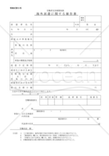 海外派遣に関する報告書(特様式第5号)