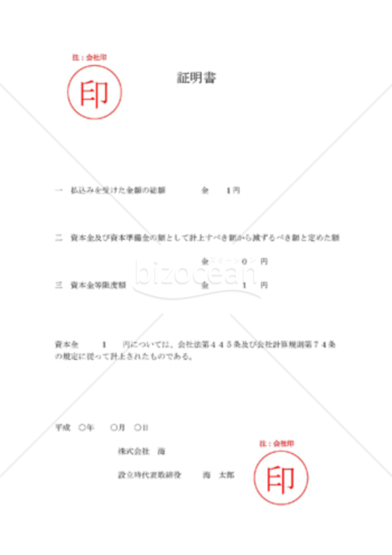 資本金の額の計上に関する書面（記入例)
