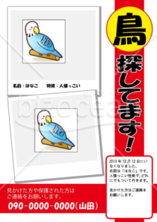 「鳥探しています」の貼り紙チラシ