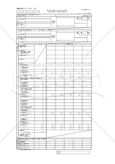 障害者雇用状況報告書（法45条の認定を受けた事業主用、事業主別）・Excel
