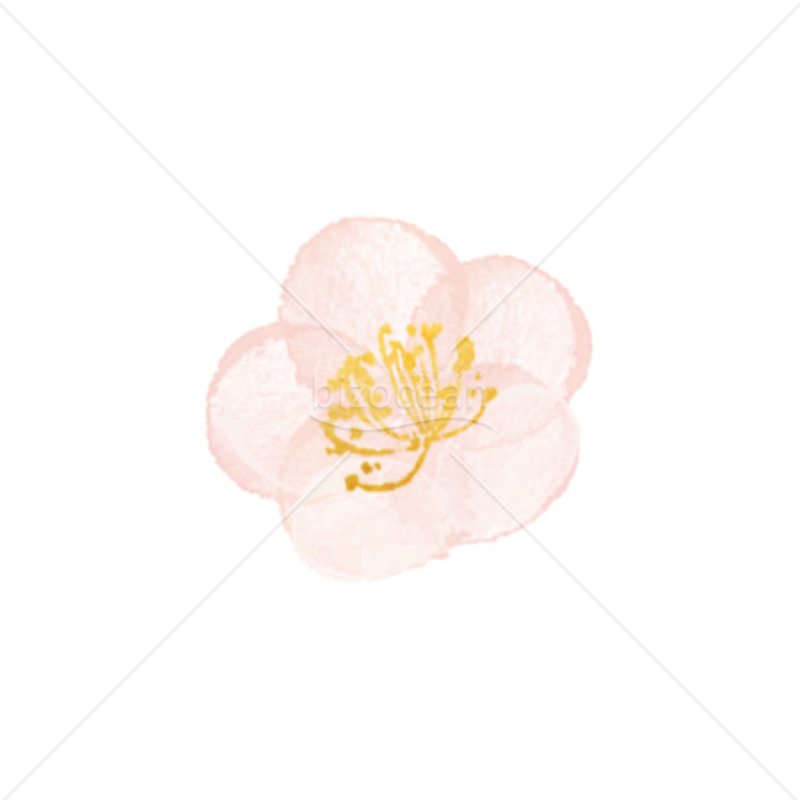 「イラスト」梅の花・淡色