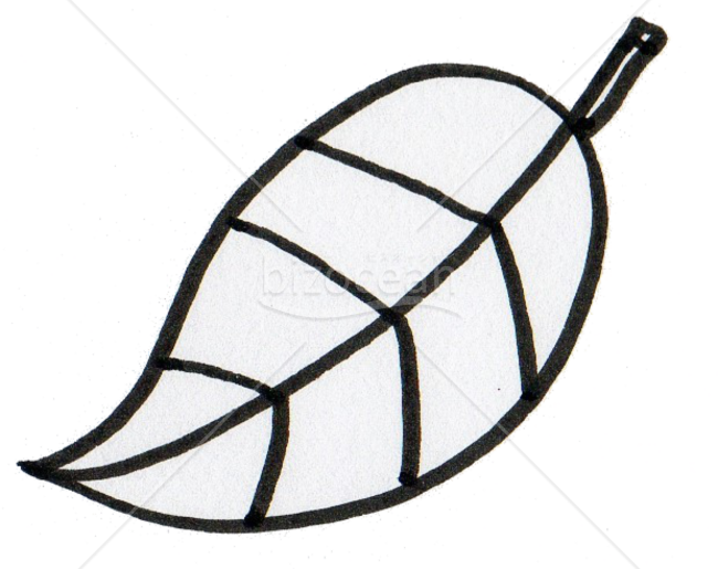 葉っぱその２（線画）