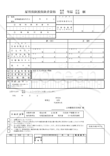雇用保険被保険者資格取得（喪失）等届訂正（取消）願・Excel【見本付き】
