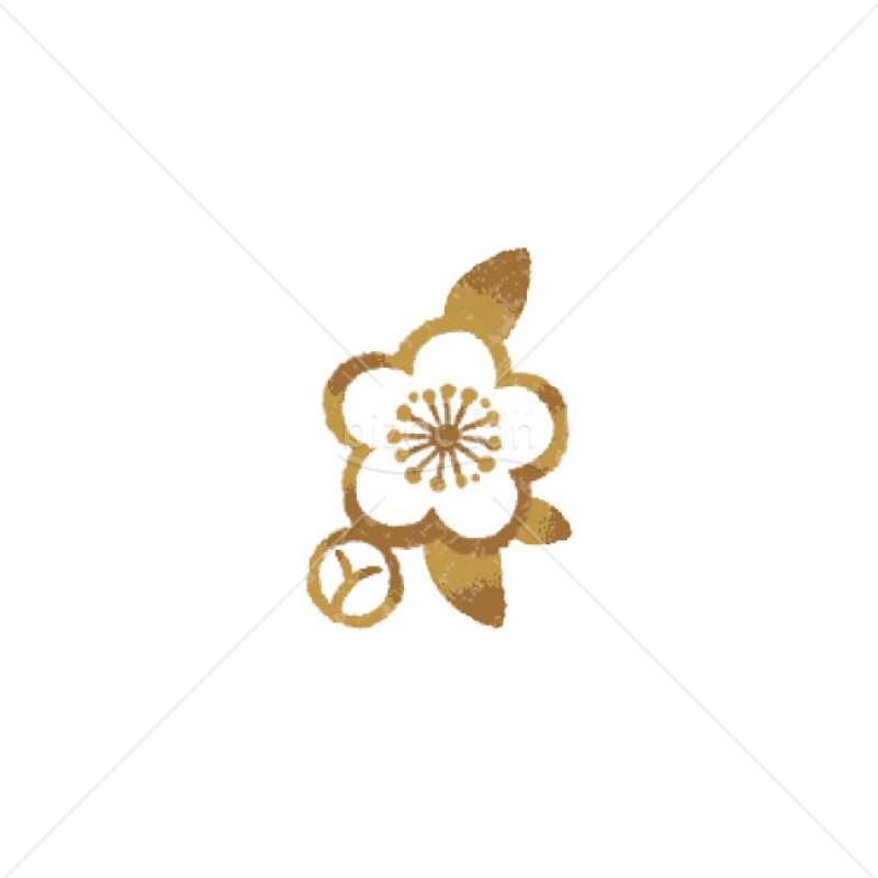 【2025年】「イラスト」梅の花