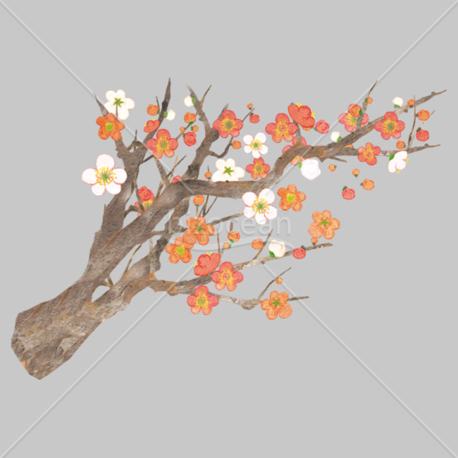 「イラスト」梅