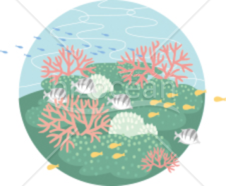 海の中の珊瑚や泳ぐ魚たちの残暑見舞い画像素材