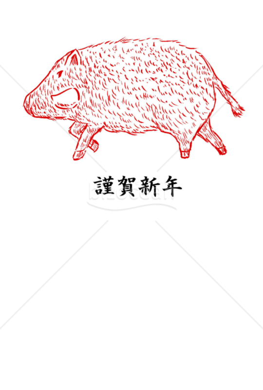 亥年の年賀状２０１9（NO.2063）