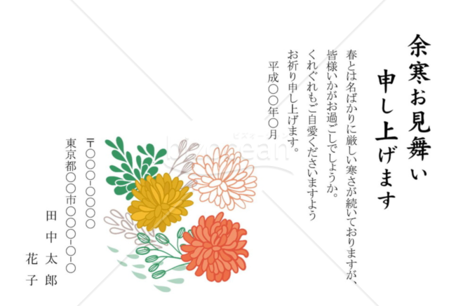 菊の余寒見舞いはがき（カラー）