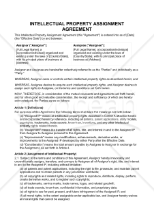 〔参考和訳付〕INTELLECTUAL PROPERTY ASSIGNMENT AGREEMENT（知的財産権譲渡契約書）