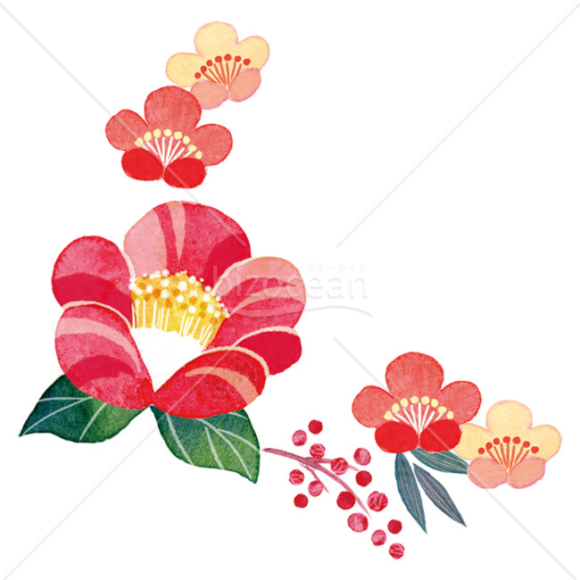 【イラスト】赤椿と梅と南天 複数のお花