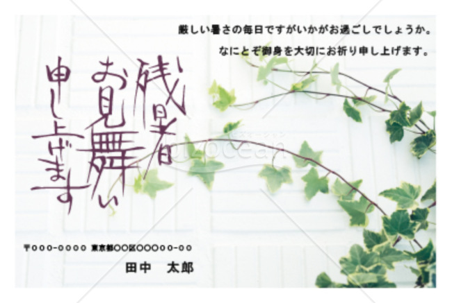 観葉植物の写真の残暑見舞いハガキ