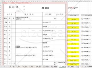 帰化900-XL_帰化許可申請用書式ALL＜入力支援付き＞