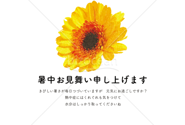 暑中見舞いはがき ひまわり2横