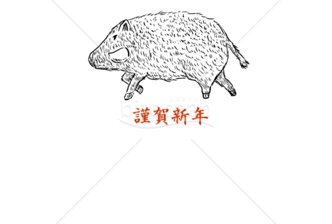 亥年の年賀状２０１9（NO.2077）