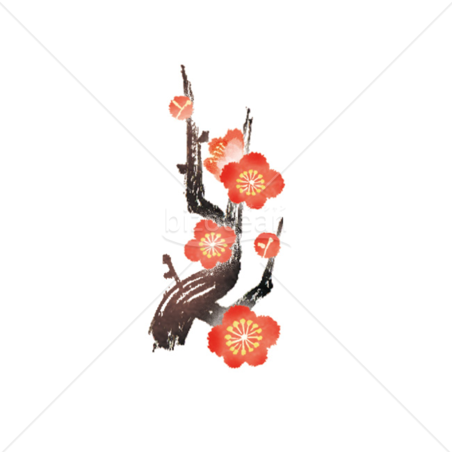 「イラスト」満開の梅の木