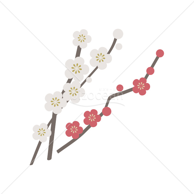 【2026年】「イラスト」シンプルモダンな紅白梅の枝