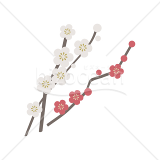 【2026年】「イラスト」シンプルモダンな紅白梅の枝