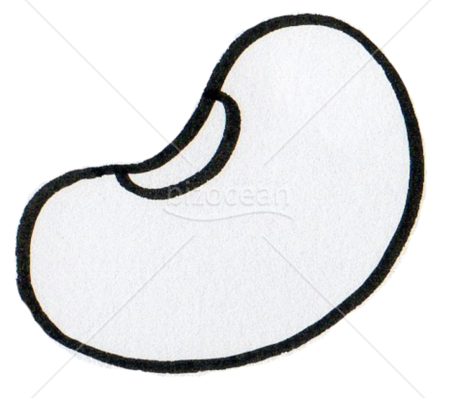 豆(線画)