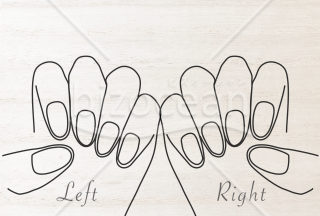 ネイルチップ台紙　ハンド左右　PNG画像