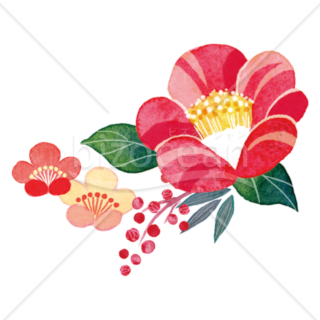 【イラスト】赤椿と梅と南天 3つのお花
