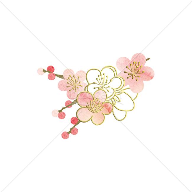 【2026年】「イラスト」金色の線画と水彩で描いた梅と南天