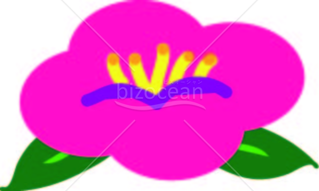 椿のイラスト
