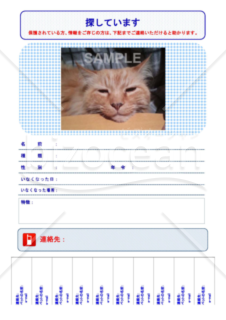 写真の入った連絡先を持って帰れるペット「探してます」の貼り紙/張り紙