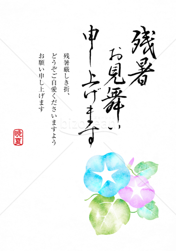 残暑見舞いテンプレート | 朝顔