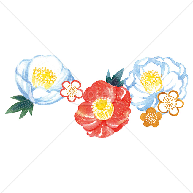 【2026年】「イラスト」水彩タッチで描いた紅白の椿と梅の花