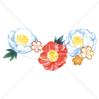 【2026年】「イラスト」水彩タッチで描いた紅白の椿と梅の花