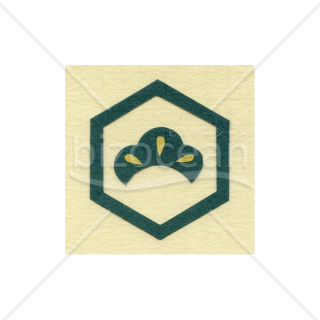 【2026年】「イラスト」松と亀甲の吉祥紋