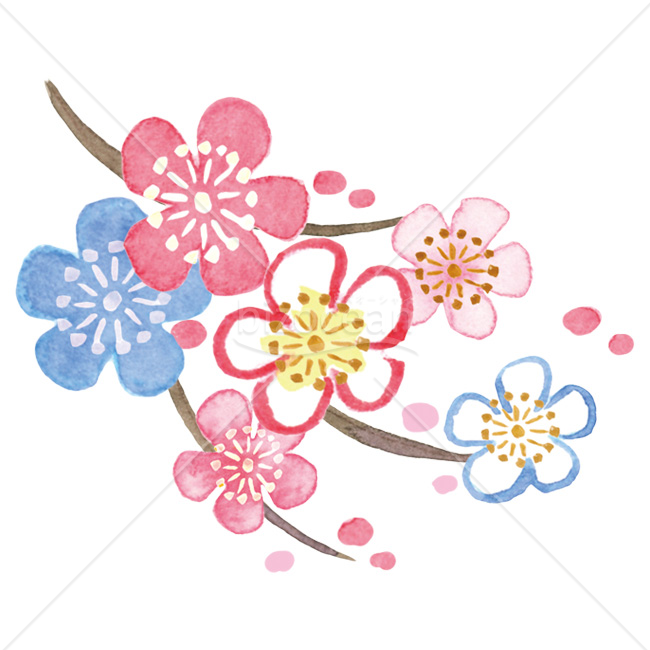 【2026年】「イラスト」和モダンな水彩画風の梅の花