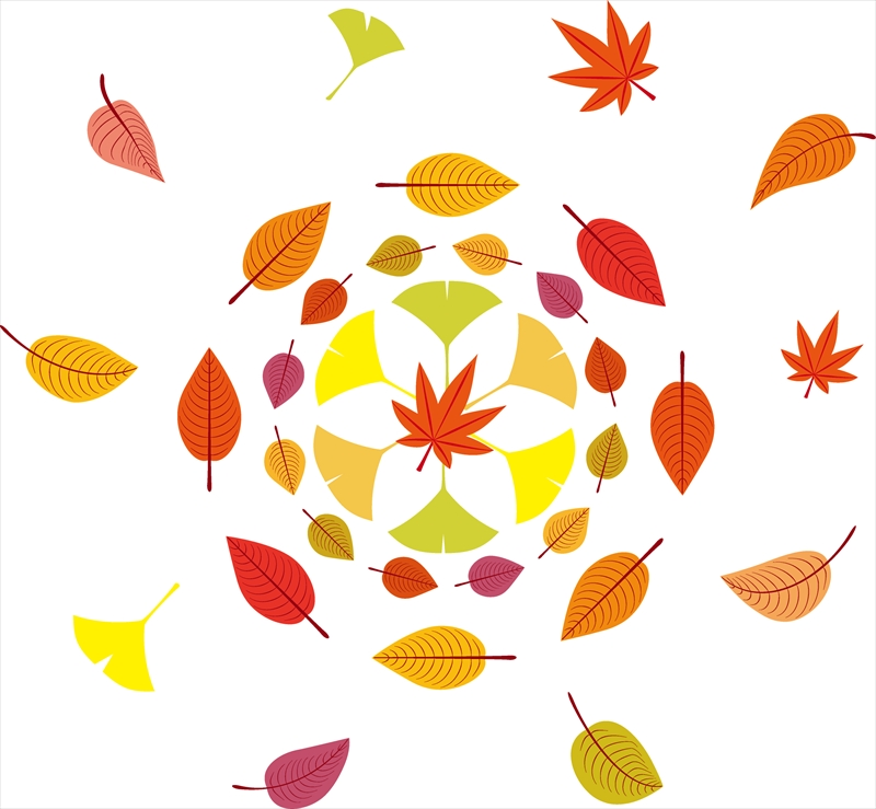 紅葉がパターンを作るイラスト Bizocean ビズオーシャン