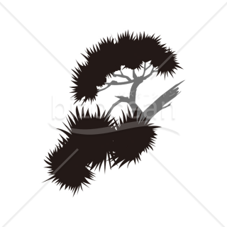 【2026年】「イラスト」モノクロで描いた勢いのある松の木