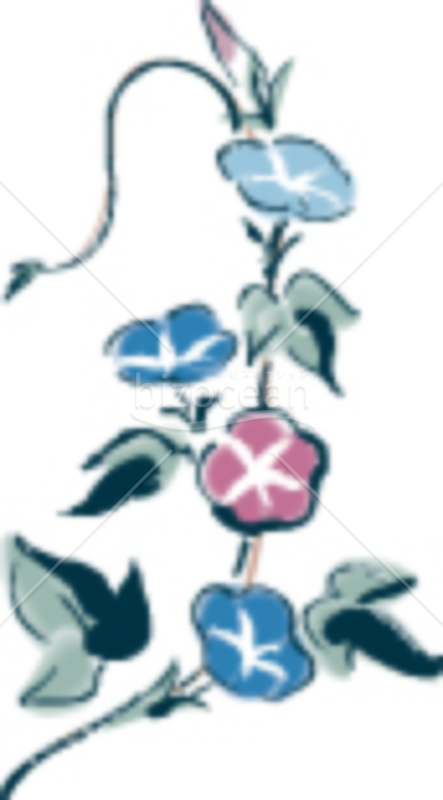 和風なアサガオの暑中見舞いイラスト