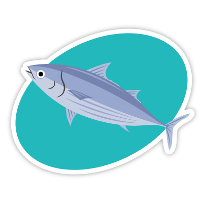 カツオのイラスト Bizocean ビズオーシャン